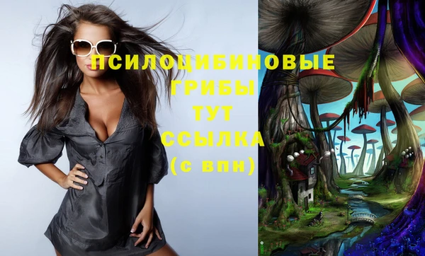 spice Белокуриха