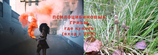 spice Белокуриха