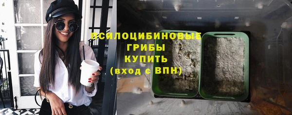 spice Белокуриха