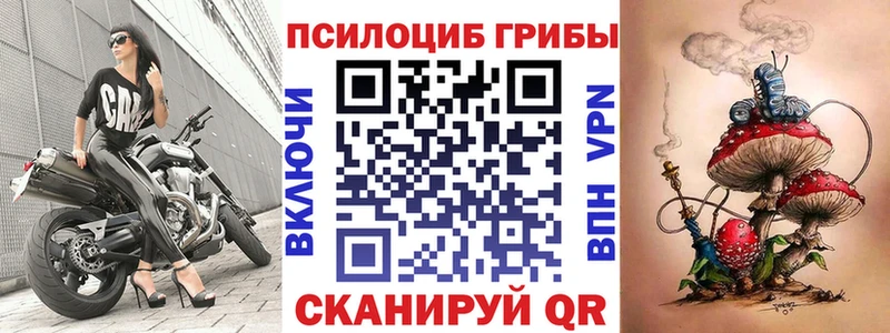 Псилоцибиновые грибы Cubensis  Наро-Фоминск 